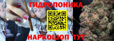 ПСИЛОЦИБИНОВЫЕ ГРИБЫ Беслан