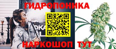 круглые Бийск