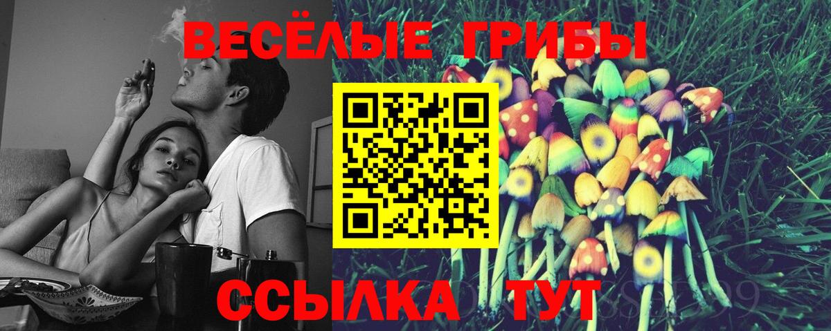 Псилоцибиновые грибы Psilocybine cubensis  Галлюциногенные грибы мицелий  Артёмовский  Вход с VPN 